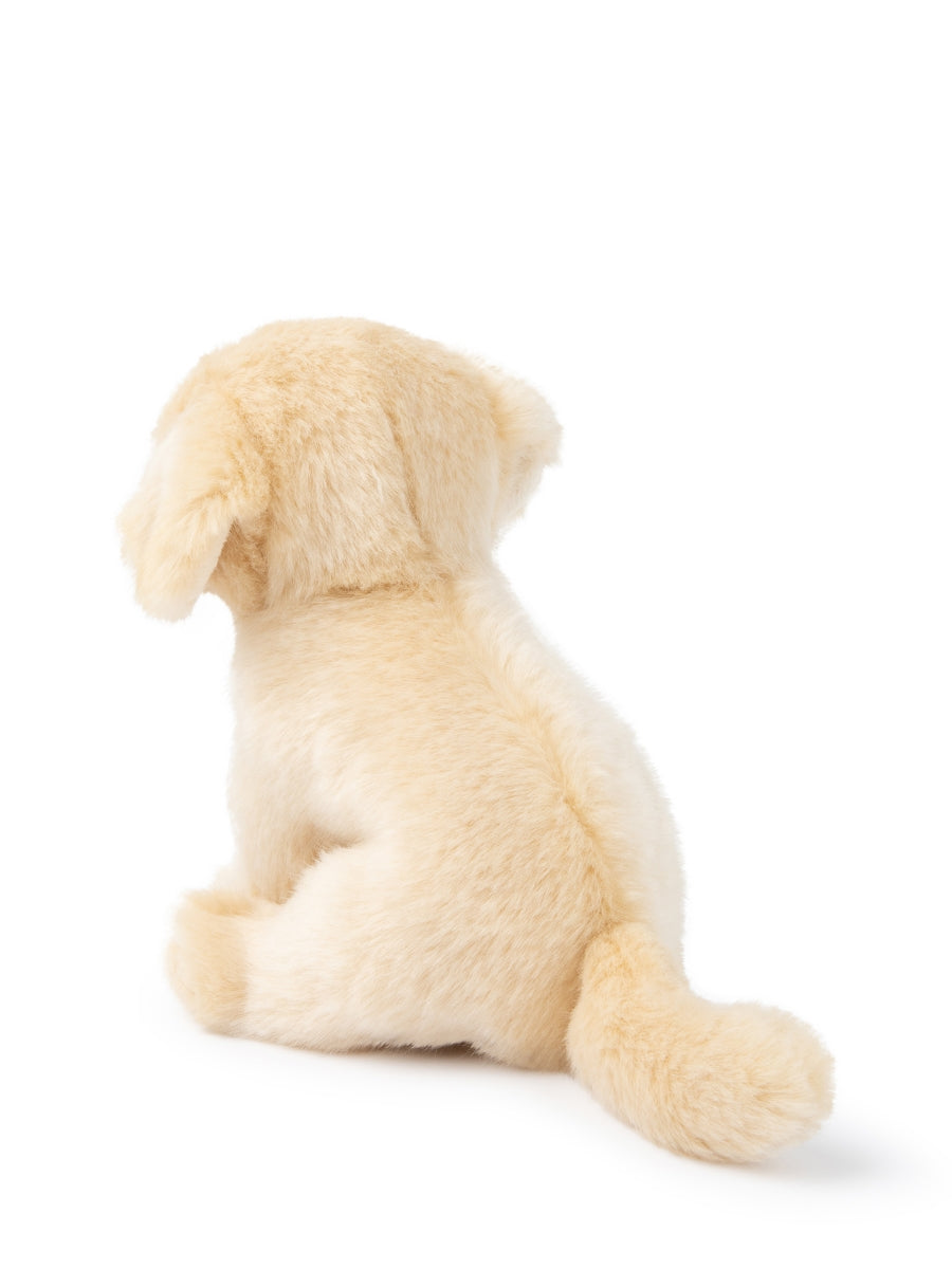 בובה  - לולו הלברדור-