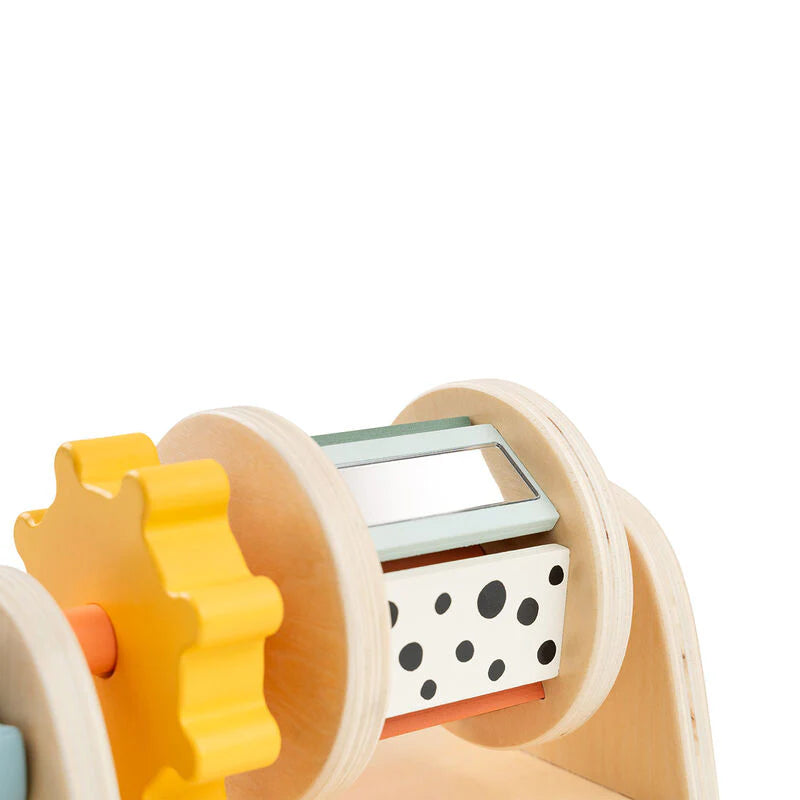 משחק התפתחות עץ - ספינר