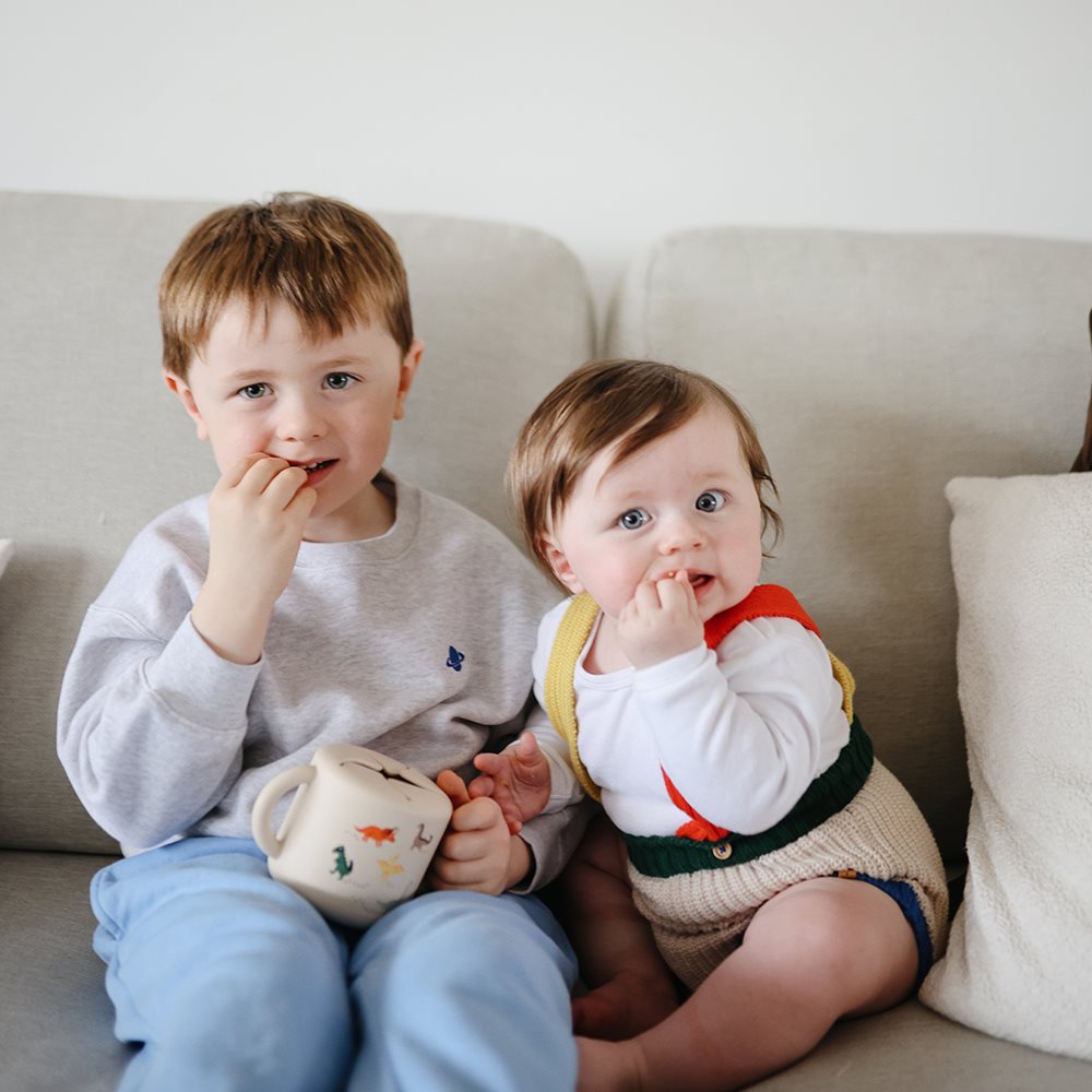 כוס חטיף - דיינו